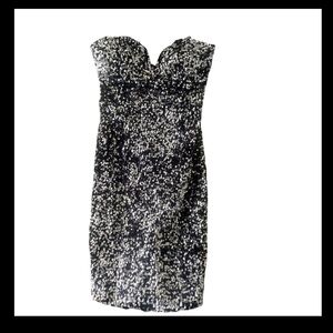 Elegant Black and Silver Sequin Dress